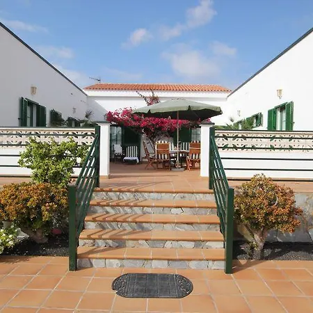 New Day La Oliva