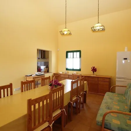 New Day Villa La Oliva
